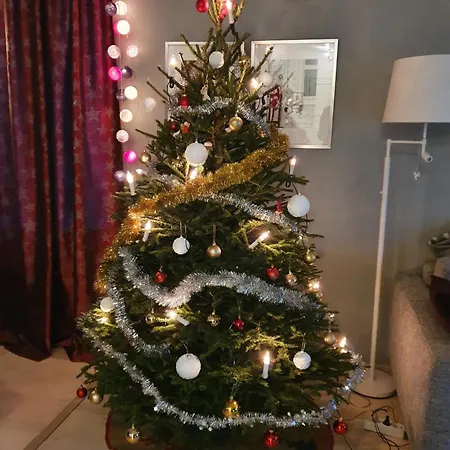 Pirkka * Rovaniemi