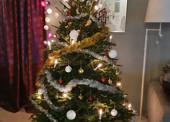 Pirkka * 罗瓦涅米